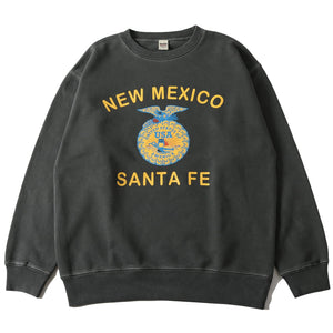 
                  
                    Load image into gallery viewer 【Pigment Dye】Super Heavy Weight Sweatshirt【Santa Fe】BR-24352
                  
                