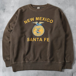 
                  
                    Load image into gallery viewer 【Pigment Dye】Super Heavy Weight Sweatshirt【Santa Fe】BR-24352
                  
                