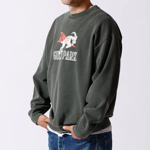 
                  
                    Load image into gallery viewer Athletic Crew Print Sweatshirt BR-23428
                  
                